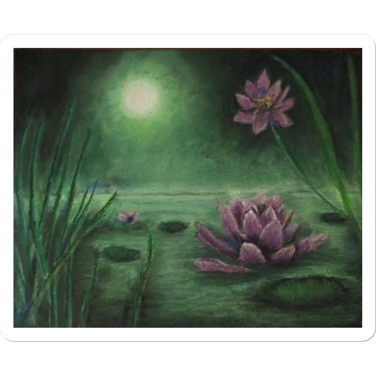 Lily Pond ~ Sticker