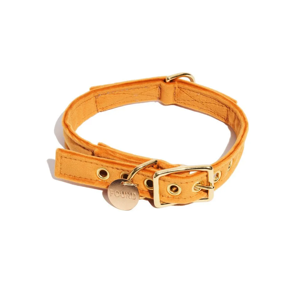 Marigold Washable Velvet Cat & Dog Collar