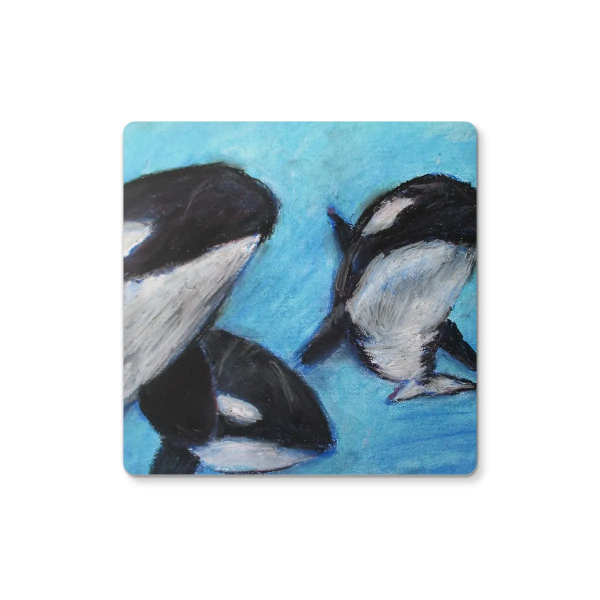 Orca Tides ~ Coaster