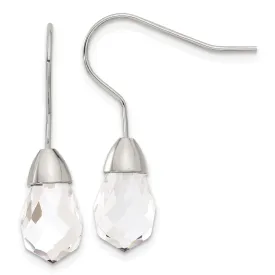 Stainless Steel Glass Shepherd Hook Earrings